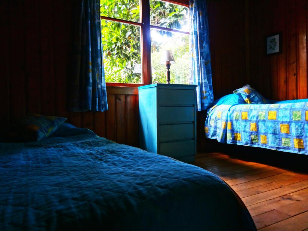 Hostal La Maison Pucon Room photo